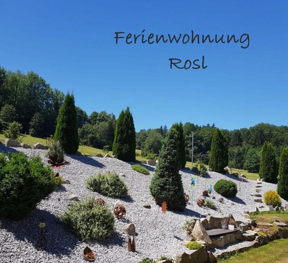Ferienwohnung Rosl Валдкирхен Екстериор снимка